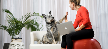 girl and dog high-fiving